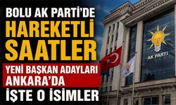 Bolu AK Parti'de hareketli saatler, başkanlar belli oluyor