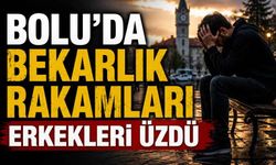 Bolu'da bekarlık rakamları erkekleri üzdü