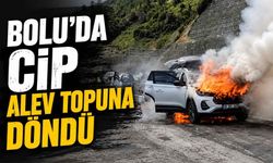 Bolu'da otomobil alev topuna döndü