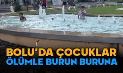 Bolu'da çocuklar süs havuzunda ölümle burun buruna
