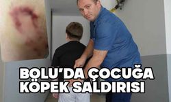 Bolu'da çocuğa köpek saldırısı