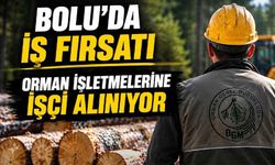 Bolu'da ormana işçi alınacak