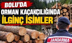 Bolu'da, orman kaçakçılığında ilginç isimler