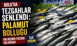 Bolu’da Tezgâhlar Şenlendi: Palamut Bolluğu Balıkçının Yüzünü Güldürdü!