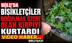 Bolu'da bisikletçiler boğulmak üzere olan kirpiyi kurtardı