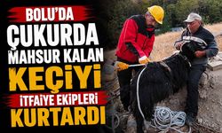 Bolu’da çukurda mahsur kalan keçiyi itfaiye ekipleri kurtardı