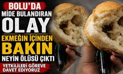 Bolu'da mide bulandıran olay! Ekmeğin içinden ölü hamam böcekleri çıktı