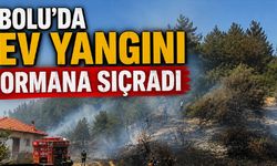 Bolu’da ev yangını ormana sıçradı