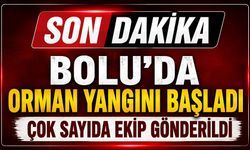 BOLU'DA ORMAN YANGINI BAŞLADI