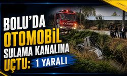 Bolu'da otomobil sulama kanalına uçtu: 1 yaralı
