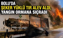 Bolu’da şeker yüklü tır alev aldı, yangın ormana sıçradı