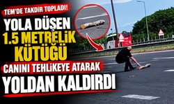 TEM'e düşen 1.5 metrelik kütüğü canını tehlikeye atarak yoldan kaldırdı