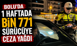 Bolu'da 1 haftada bin 771 sürücüye ceza yağdı
