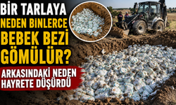 Bir tarlaya neden binlerce bebek bezi gömülür? Arkasındaki neden hayrete düşürdü