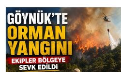 GÖYNÜK’TE ORMAN YANGINI