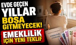 Evde geçen yıllar boşa gitmeyecek! Emeklilik için yeni teklif