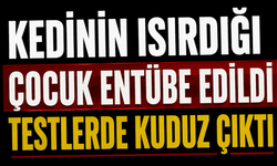 Kedinin ısırdığı çocuk entübe edildi, testlerde kuduz çıktı