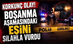 Aile içi olay! Boşanma aşamasındaki çift arasında silahlı kavga