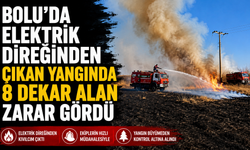 Bolu'da elektrik direğinden çıkan yangında 8 dekar alan zarar gördü