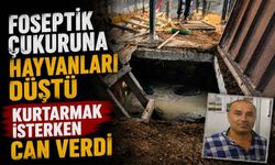 Hayvanlarının düştüğü çukurda can verdi