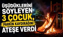 Üşüdüklerini söyleyen 3 çocuk, parkın kaydırağını ateşe verdi