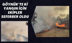 GÖYNÜK’TE Kİ YANGIN İÇİN EKİPLER SEFERBER OLDU