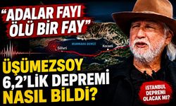 Prof. Dr. Şener Üşümezsoy’dan Marmara depremi çıkışı: “Adalar Fayı ölü faydır”