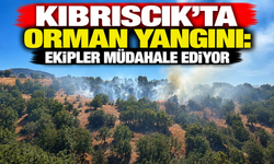 Kıbrıscık’ta Orman Yangını: Ekipler Müdahale Ediyor