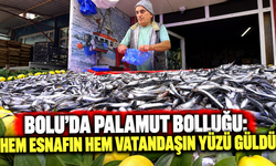 Bolu’da Palamut Bolluğu: Hem Esnafın Hem Vatandaşın Yüzü Güldü