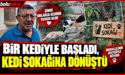 Bir kediyle başladı, kedi sokağına dönüştü