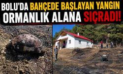 Bolu'da bahçede başlayan yangın ormanlık alana sıçradı