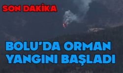 Kıbrıscık’ta orman yangını: Ekipler bölgeye sevk edildi