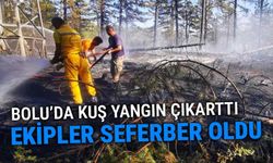 Bolu'da, kuş orman yangını çıkarttı