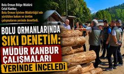 Bolu Ormanlarında Sıkı Denetim: Müdür Kanbur Çalışmaları Yerinde İnceledi