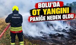 Bolu’da ot yangını paniğe neden oldu