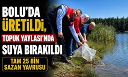 Bolu’da Üretildi, Topuk Yaylası’nda Suya Bırakıldı