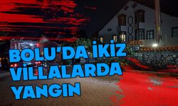 Bolu'da villalar kül oluyordu