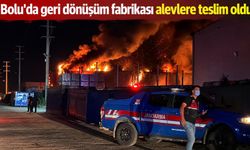 Bolu'da geri dönüşüm fabrikası alevlere teslim oldu