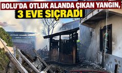 Bolu’da otluk alanda çıkan yangın, 3 eve sıçradı