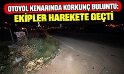 Otoyol Kenarında Korkunç Buluntu: Ekipler Harekete Geçti