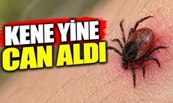 Kene yine can aldı