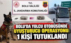 Bolu’da Yolcu Otobüsünde Uyuşturucu Operasyonu: 1 Kişi Tutuklandı