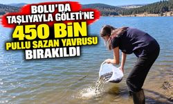 Bolu'da Taşlıyayla Göleti'ne 450 bin pullu sazan yavrusu bırakıldı