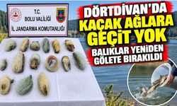 Dörtdivan’da Kaçak Ağlara Geçit Yok: Balıklar Yeniden Gölete Bırakıldı