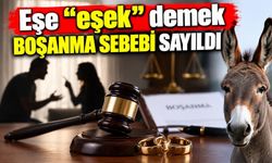 Eşe "eşek" demek boşanma sebebi sayıldı