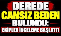 Derede Cansız Beden Bulundu: Ekipler İnceleme Başlattı