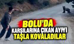 Bolu'da karşılarına çıkan ayıyı taşla kovaladılar