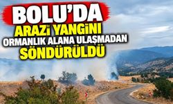 Bolu’da arazi yangını ormanlık alana ulaşmadan söndürüldü