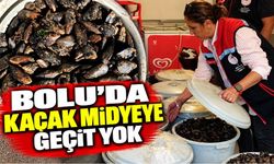 Bolu’da Kaçak Midyeye Geçit Yok