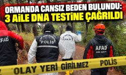 Ormanı’nda Cansız Beden Bulundu: 3 Aile DNA Testine Çağrıldı